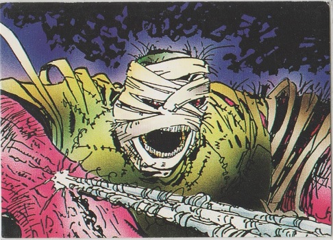 The Savage Dragon Collector Card #60